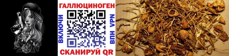 Галлюциногенные грибы Psilocybine cubensis  гидра сайт  Усть-Катав  наркошоп 